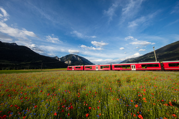 Bonaduz, Graubünden, Schweiz, Switzerland